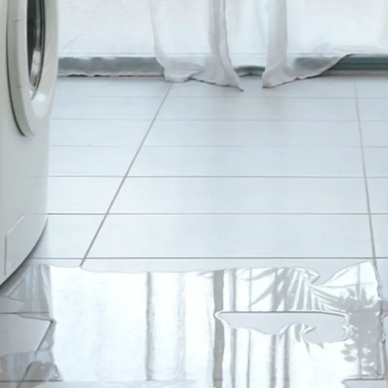Appliance Leak Cleanup in Aberdeen, WA