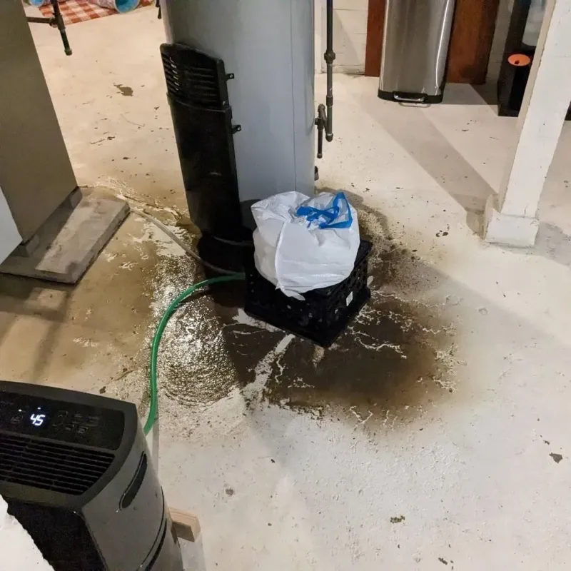 Sewage Backup Cleanup Service in Aberdeen, WA